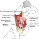 태종태권도 이미지