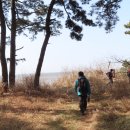 죽바위 이미지