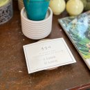 금마농장 | 광교꽃집 바비슈아｜광교식물 화분 선물 후기｜꽃배달 가능한 플라워샵