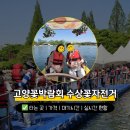 일산커머스 | 2026 고양시꽃박람회 실시간 수상꽃자전거 타는곳 가격 대기시간 후기