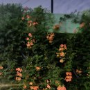 부천중앙내과의원 이미지