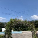 GS25 광주매산점 | [오포 매산리] 매짜리토박이/제주식 해장국