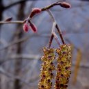 원천오리 이미지