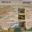 아이에프에이 캠프운악 이미지