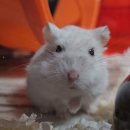 리틀버드서울 버드앤주클리닉 이미지