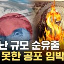 대규모 외화 유출 공포...'경고음' 커진 원화 가치 / YTN 이미지