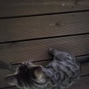 서시루아 | [구례] 에어비앤비 서시루아 숙박후기