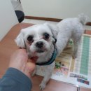 신정주유소 이미지