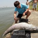 나우한강 서울신문