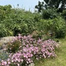 선바우 집 이미지