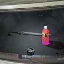 차놀자모터스 이미지