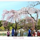 수양 이미지
