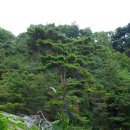 바다부채길2 이미지