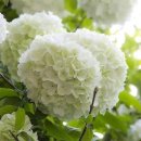 혁신동 주민센터 이미지