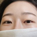 다비드뷰티