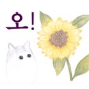 청소사냥