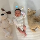 장선호변호사
