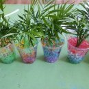 동신파이디온 이미지