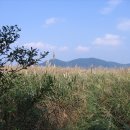 거북약수터 이미지