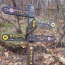 제774회차 4/12 창원 천주산 용지봉(641 m) 산행예약 신청 이미지