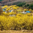 가마솥서울식당 이미지