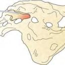 오상호재활의학과의원 이미지