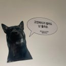 경인당 | 행궁동빈티지샵 : 블랙탄빈티지 _ 저렴한 가격에 보물찾기 성공 / 빈티지샵폴로/ 내돈내산/ 행리단길...