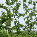 써미트세탁 이미지