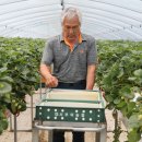 송이네농장 이미지