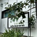 가야산금바우 이미지