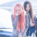 리즈 이미지