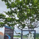 비산나루터 체육공원 | (경북 구미 비산동) 비산나루터 산책길