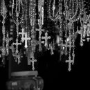 고스고스2 이미지