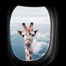 병목안캠핑장 이미지