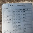 비에이스
