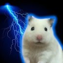 멍믈리에 | 사랑니 발치 후의 삶,,