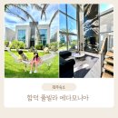 에다모니아 이미지