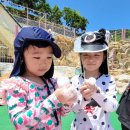 이본유치원 이미지