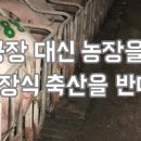 대신축산 - 중구 국채보상로 447 | 대신축산