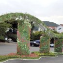 진남체육공원 족구장 이미지