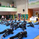 화랑합기도 특공무술 이미지