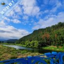 덕절산생태공원 | [청도 산책하기 좋은 곳] 덕절산 자연 생태공원/덕사 가는 길..