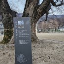 소호분교초등학교 이미지