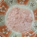 오션 캣 이미지