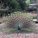 화도수동행정복지센터 4층 이미지