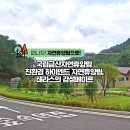 나릇헤어 네이버블로그