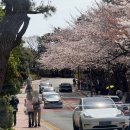 달맞이식당 | 부산 해운대 :: 브런치식당 소보 달맞이점, 달맞이길 브런치 맛집 솔직후기