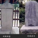 비석의 종류에는 능비, 묘비, 사비(절에서 승려에게 세워주는 비), 일반 사적비 등이 이미지