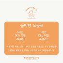 댕바이댕(DANG BY DANG) 이미지