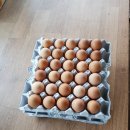 옥계농장 이미지